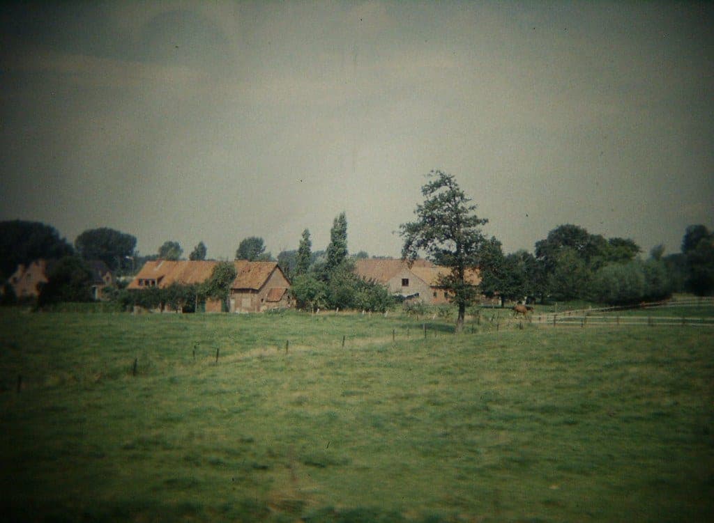 Dutch Farm