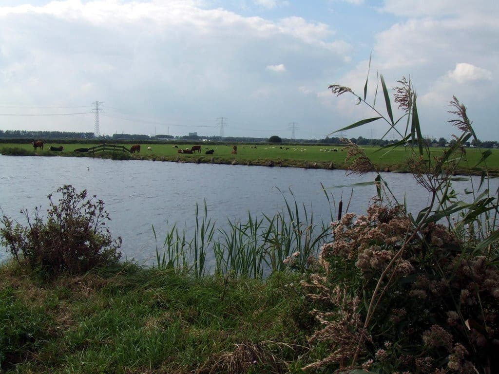 Dutch Countryside