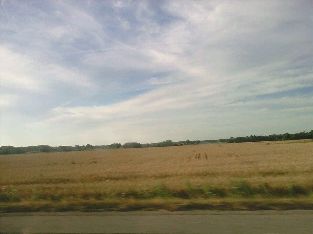 Wisconsin Fields