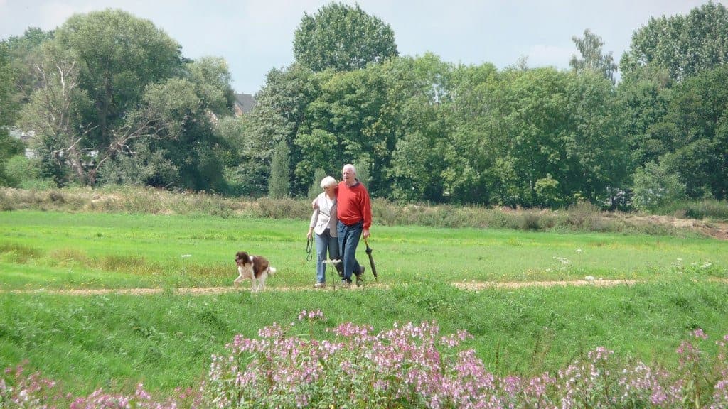 Belgian countryside