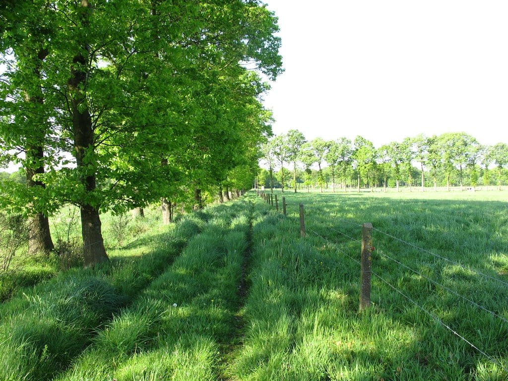 Flemish countryside