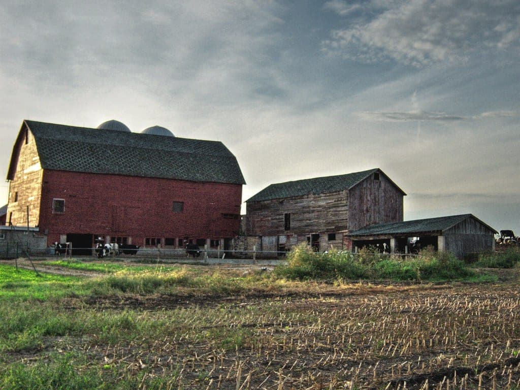 A Wisconsin dairy farm