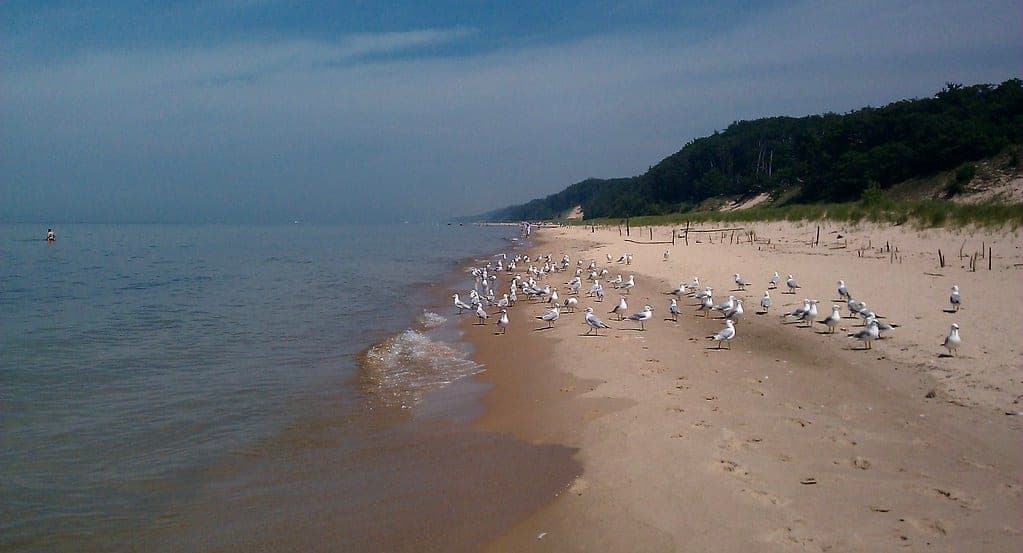 Lake Michigan, Hoffmaster State Park