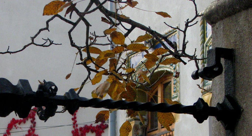Probota Monastery, a historic walled building