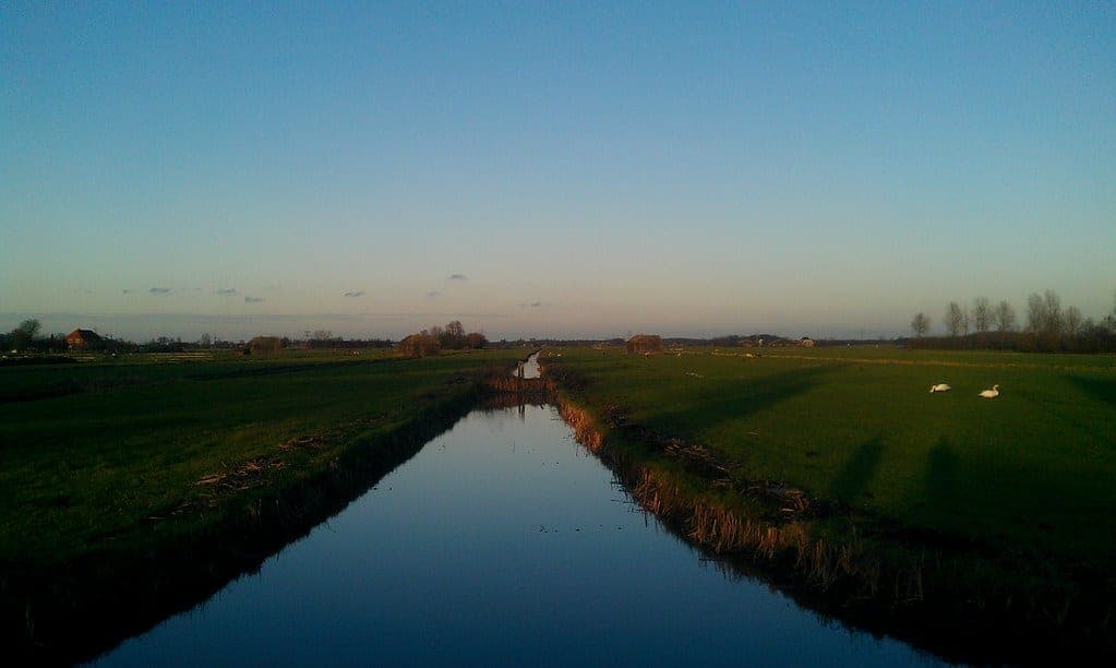 Farmland in the Dutch countryside